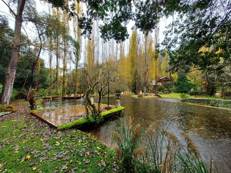 Visitação ao Jardim Secreto (1)