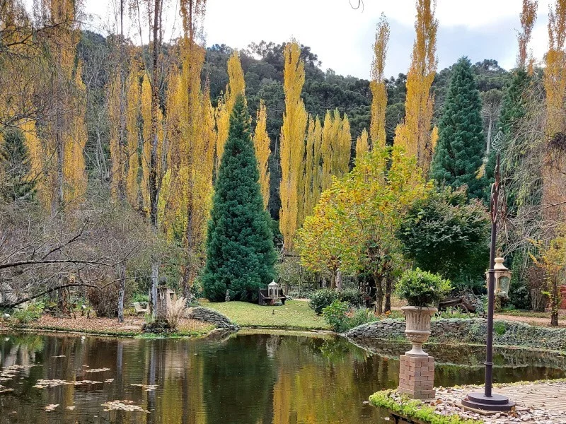 Visitação ao Jardim Secreto (2)
