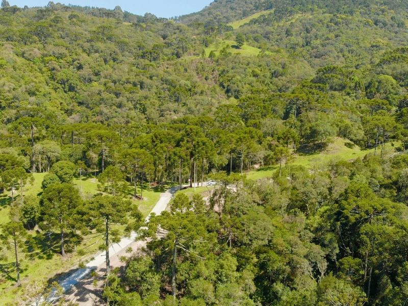 caverna rio dos bugres (3)